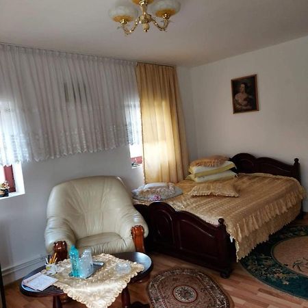 Casa Rodica Διαμέρισμα Vatra Dornei Εξωτερικό φωτογραφία