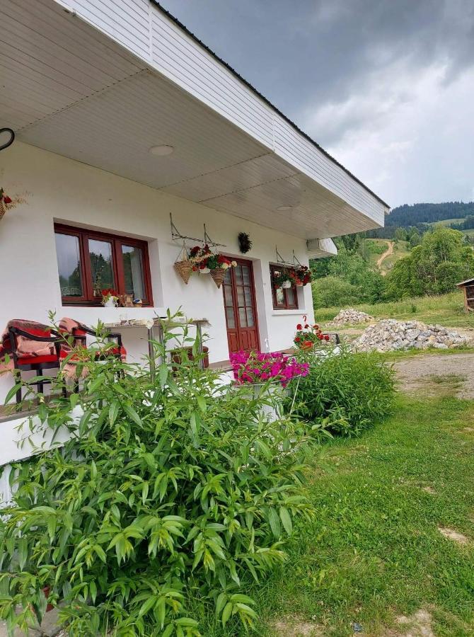 Casa Rodica Διαμέρισμα Vatra Dornei Εξωτερικό φωτογραφία