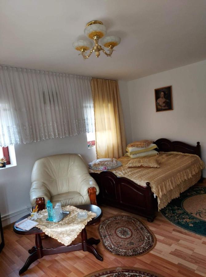 Casa Rodica Διαμέρισμα Vatra Dornei Εξωτερικό φωτογραφία