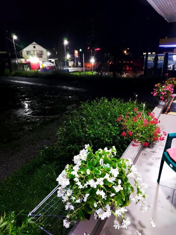 Casa Rodica Διαμέρισμα Vatra Dornei Εξωτερικό φωτογραφία