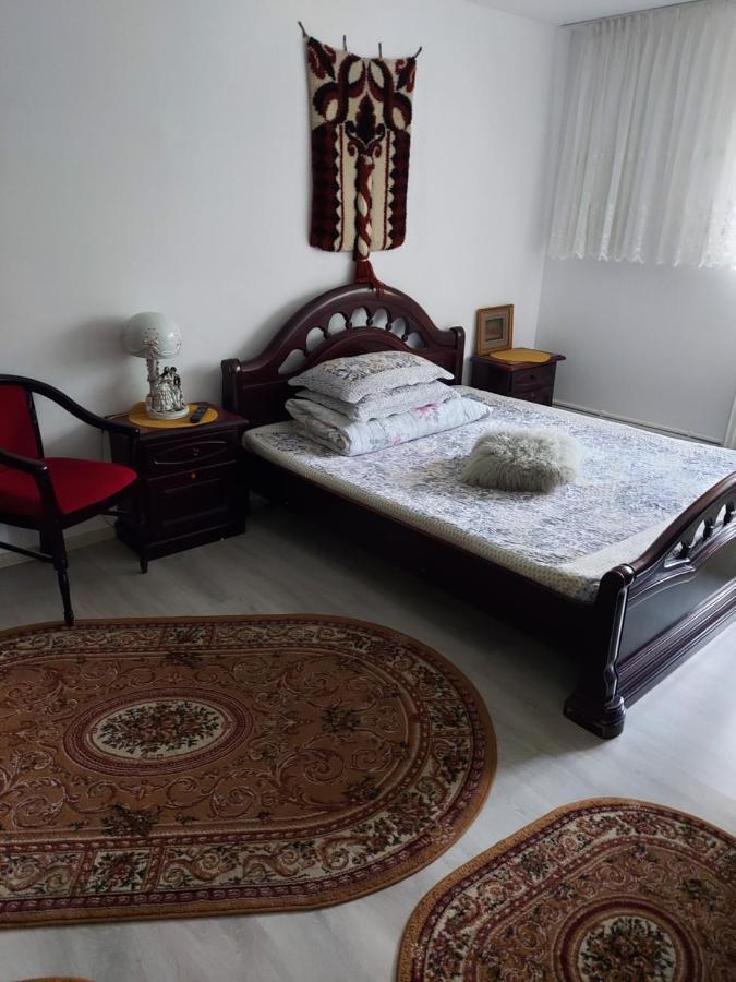 Casa Rodica Διαμέρισμα Vatra Dornei Εξωτερικό φωτογραφία
