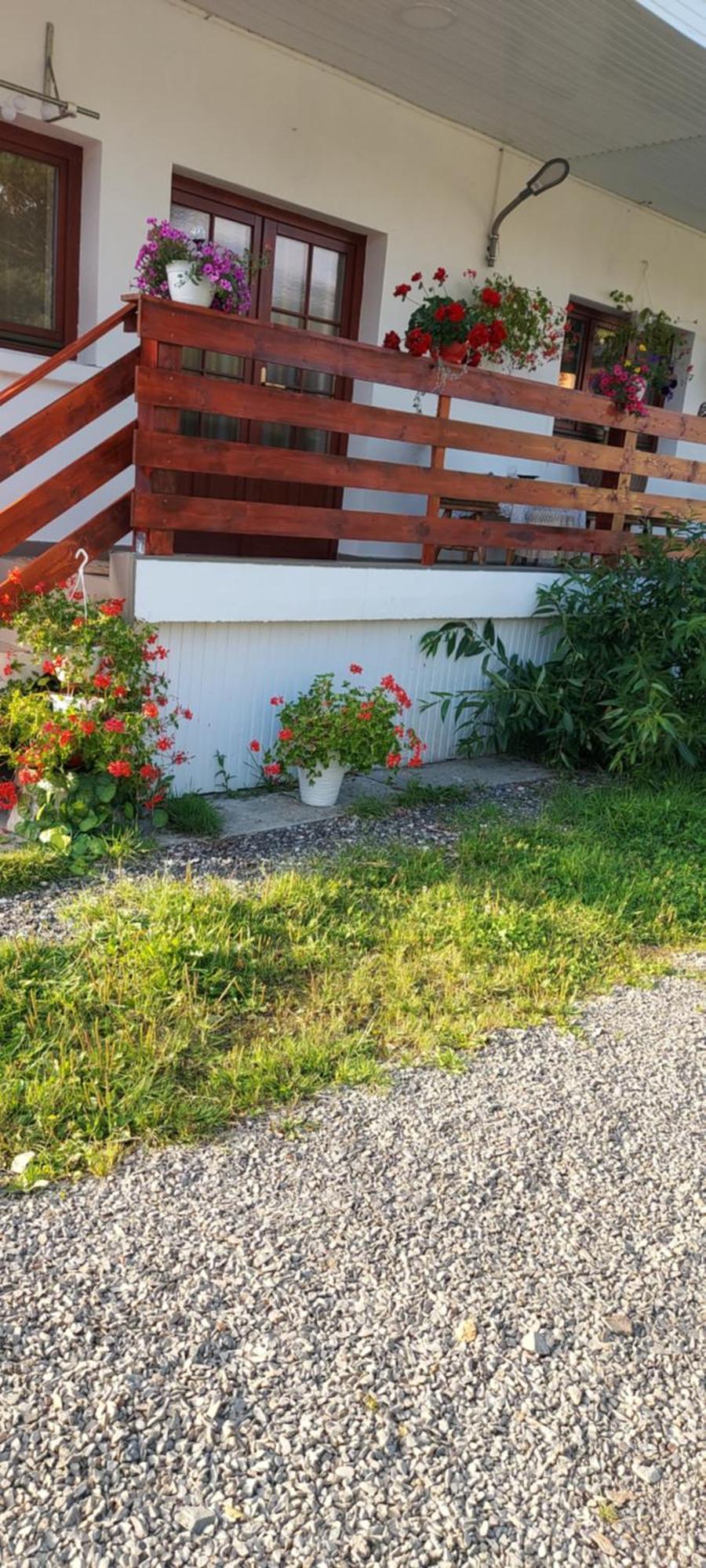 Casa Rodica Διαμέρισμα Vatra Dornei Εξωτερικό φωτογραφία